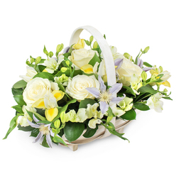 Set against a spotless white backdrop, this elegant funeral flower basket looks poised and serene, as though it has just been placed on a chapel table in Stanmore moments before guests arrive. The basket itself is woven from light beige wicker, with a gently curving handle that arches over the blooms in a protective gesture. Inside, the flowers form a rounded, softly rising mound of colour and texture. At the core are rich, creamy white roses, fully open and luxuriously petalled, their centres spiralling inward like quiet thoughts and cherished memories. Around them, delicate clematis flowers in pale lilac and periwinkle extend their narrow petals, framing luminous yellow-green centres that add a gentle spark of life. Threaded through the design are sprays of white and soft yellow, freesia-like blossoms; some are still in neat green buds, others newly opened, giving the impression of a garden caught in a tender, unfolding moment. Subtle touches of bright yellow within the flowers add warmth without breaking the arrangement's calm, reflective mood. A generous collar of fresh greenery-shiny dark leaves and lighter green sprigs-cradles the blooms, grounding the pastel tones and emphasising their softness. The whole composition feels balanced, soothing, and thoughtfully composed, like a tribute chosen with care for a service near Stanmore Country Park or a condolence visit to a quiet home off London Road. It is a basket that speaks of remembrance, support, and hope, offering a touch of natural beauty and comfort during times of grief.