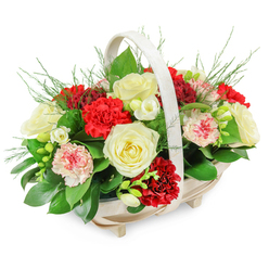 This image shows a thoughtfully arranged funeral flower basket, designed to offer both visual comfort and quiet elegance. The base is a pale wooden basket with an oval footprint and subtle footed supports, giving it a gentle lift from the surface. Overhead, a smooth, off-white handle forms a neat arch, framing but never overpowering the flowers. Inside, a full dome of blooms rises in a graceful mound, slightly spilling over the rim. Several creamy white roses sit prominently among the arrangement, each one fully open, with velvety petals unfolding in soft spirals that speak of purity and farewell. Nestled around them are clusters of rich red carnations, their ruffled, multi-layered petals adding depth, texture, and a sense of deep affection. Softer pink and pale carnations, some edged or feathered with red, weave through the design, tempering the bold red with a tender, soothing note. Small white flowers, likely freesias, appear here and there, their starry, trumpet-shaped heads on slender stems lending a delicate, almost whispering presence. A foundation of dark green foliage-broad, glossy leaves reminiscent of ruscus or salal-anchors the display, while airy, feathery sprigs similar to asparagus fern lift the eye upward, giving the whole piece a light, natural halo. Set against a clean white background, every tone of cream, crimson, and green is clearly defined. Created by Flower Delivery Stanmore for services across Stanmore and nearby areas like Belmont and Canons Park, this basket feels perfectly suited for resting beside the coffin, standing by a memorial book, or being delivered to the family home as a graceful expression of sympathy and remembrance.
