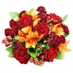 From a top-down angle on a clean white field, this opulent, circular bouquet reads like an artisan mosaic of late-summer colour, densely arranged to present continuous surface and depth. Dominant deep red roses, their petals unfurling in soft spirals, create a classic, velvety heart to the design; their scent is suggested in the image, a familiar, warm rose fragrance that anchors the composition. Interwoven are vivid orange Asiatic lilies-some fully open with trumpet-like mouths and prominent stamens, others in bud form-introducing a lively, upward energy and a citrusy-spicy hint to the imagined fragrance. Clusters of small, dark burgundy spray roses contribute a layered, plush texture and jewel-toned shadowing that deepens the reds. Scattered throughout, glossy hypericum berries catch the light as tiny, joyful highlights, while generous lengths of ruscus-like foliage provide a cool green backdrop that frames each bloom and adds structural rhythm. The lighting is soft and even, chosen to reveal petal grain, berry sheen, and leaf gloss without harsh shadows. As an arrangement well suited to romantic gestures or celebratory gifts, it reads as both sumptuous and approachable-perfect for sending to mark an anniversary or to brighten a Stanmore home. Flower Delivery Stanmore prepares similar hand-tied bouquets for local same-day delivery across Stanmore and neighbouring Harrow, aiming to capture this balance of rich colour, tactile contrast, and heartfelt sentiment in every order.