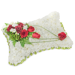 This memorial pillow, hand-assembled with the sensitivity of a local Stanmore florist, reads as a tactile expression of comfort: a rectangular cushion completely covered in tight clusters of snowy white chrysanthemums that form a plush, seamless surface reminiscent of gentle fleece. Along the slightly raised edge a slim band of light green ribbon shows through, giving a crisp outline and a touch of fresh colour that complements the natural tones. On the upper left a composed spray of deep red roses and dark burgundy carnations brings weight and warmth; the roses range from tight buds to fully opening forms, their velvety petals contrasted by the citron-tinted centres of small white freesia-like accents that scatter light across the cluster. Rich foliage - fine fern fronds and broader glossy leaves - provides a supportive green backdrop, while thin, arching stems of bright green bear-grass trace a graceful diagonal from the main cluster toward the right. These sweeping lines draw the eye to a solitary red rose placed on the lower right corner, a deliberate, poignant focal point that suggests devoted remembrance. The scent is described as soft and clean rather than overpowering, the overall effect composed and reverent. Created with care for funeral or wake displays around Stanmore Broadway, Stanmore tube and nearby Bentley Priory, this arrangement is the kind of sympathy tribute Flower Delivery Stanmore prepares when families ask for a timeless, respectful expression of love and farewell.