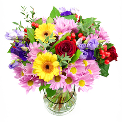 In this image, a beautifully balanced mixed bouquet rises from a simple clear glass vase, its colours intensified by a clean white backdrop. At the heart of the design are luscious dark red roses, their layered, velvety petals forming tight whorls that draw the eye inward and suggest heartfelt emotion. Close by, bold yellow gerbera daisies with dark brown-orange centres stand proudly, their wide rays of petals shining with the kind of cheer you might feel on a sunny walk around Stanmore Country Park. Embracing these central blooms is a plush ring of soft pink and pale lilac chrysanthemums or daisies, each flower made up of numerous slender petals and neat yellow centres, building a cloud of gentle colour and cushioning texture. Threaded among them are elegant stems of purple and lavender lisianthus, some buds still closed, others unfurling into bell-shaped, ruffled flowers that add a touch of cool sophistication and depth. Bright clusters of small, round red hypericum berries are tucked in between the petals like tiny ornaments, creating eye-catching highlights and adding modern flair. A mix of lush green foliage supports and surrounds the blooms: deep, glossy leaves give structure, while lighter, finer sprigs soften the silhouette and evoke the fresh, leafy streets around Stanmore and Canons Park. The vase itself is transparent and understated, allowing the spiral of neatly trimmed stems and the clarity of the water to be clearly seen, reinforcing the sense of care and freshness. The overall mood is uplifting and celebratory, making this arrangement perfect for sending congratulations, marking family milestones, or simply brightening a hallway or dining table anywhere in Stanmore.