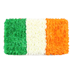 As I arrange this flag-inspired tribute, I sense a quiet solemnity that travels with every petal. The three bands-green, white, and orange-are layered into a dense, sculptural field, each stripe formed from many tiny blossoms that hold their own micro landscapes of texture. The green side glows with a mossy depth, the white stripe feels like a soft cloud, and the orange edge radiates a warm, sunlit glow, all finished on a clean white background that makes the colours pop. The petals are chosen for uniformity and vibrancy, the surface pressed into a compact weave that stands up to the touch and to light, offering a tactile memory of tradition. Scent is faint-a delicate whisper of fresh petals that lingers briefly, a reminder of long afternoons in the florist's workshop.

In Stanmore, this type of floral flag is often crafted for cultural events, St Patrick's Day celebrations, or moments of collective memory within the community-neighbours near Edgware Road, Canons Park, and the High Street stopping to admire the careful handiwork. The composition balances bold symbolism with a soft, artisanal finish, a testament to the florist's craft and to the quiet power of shared identity. It's the sort of piece that can accompany a ceremony, a community gathering, or a thoughtful gesture at home. With Flower Delivery Stanmore, you can arrange for timely delivery across Stanmore and nearby NW London streets, ensuring the flag's colours arrive fresh, precise, and ready to tell a story of unity and heritage.
