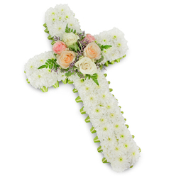 This image shows a beautifully balanced funeral cross, presented against a flawless white backdrop that enhances its calm, contemplative character. The cross is built on a sturdy frame but appears soft and gentle thanks to the dense layer of white button chrysanthemums that entirely cloak the surface. Each small flower is tightly packed, creating a plush, almost quilted appearance that is consistent from the top of the vertical beam down to the base and across both outstretched arms. The whiteness of the blooms is pure and bright, symbolising innocence, spiritual peace, and the hope of eternal rest. Running along the outer edge, a band of lime green ribbon has been carefully wrapped, just visible beneath the blooms, outlining the cross with a fine, fresh border reminiscent of new leaves or spring grass. At the centre point, where the beams intersect, a cluster of accent flowers adds both colour and emotional warmth. Softly coloured roses in shades of blush pink, creamy white, and light peach are arranged closely together, their open petals layered and gently cupped. Surrounding them, delicate fern fronds and slim sprigs of lavender or lilac filler flowers weave through the design, offering texture, movement, and a whisper of pastel contrast. The result is an arrangement that feels both traditional and slightly contemporary, ideal as a memorial tribute for services in and around Stanmore, whether delivered to a local church, synagogue, or crematorium. It is the sort of cross families might choose when they want a floral piece that quietly reflects faith, love, and the comforting support of the community during times of loss.