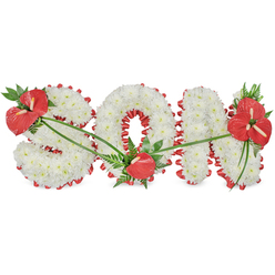 A dignified floral tribute in the shape of the word "SON" is set against a clean, white background, making its structure and colour palette stand out with clarity. The three capital letters are completely formed from dense white chrysanthemums, each bloom placed tightly beside the next so that the surface appears smooth and plush, like a soft blanket of petals. Around the outer edges, a deep red satin ribbon has been pleated into gentle scallops, tracing every curve and corner to outline the "S", encircle the hollow of the "O", and define the upright, balanced lines of the "N". Accenting this calm field of white are three striking groups of red anthuriums, known for their waxy, heart-shaped spathes and pronounced central spadices. The first, a generous cluster with dark green foliage and fern-like fronds, rests on the upper left section of the "S". A second, more modest feature-a single anthurium framed by leaves-sits at the lower curve of the "O", its red petals glowing against the white background. The third and most elaborate cluster graces the upper right of the "N", where several anthuriums and lush greenery spill gently over the letter's edge. Slender green stems and leaves arch across the chrysanthemums, visually tying these red focal points together and adding an organic rhythm. This arrangement, perfect for a funeral or memorial held in Stanmore or nearby Edgware, reflects the kind of considerate craftsmanship local families look for when commemorating a cherished son with grace and understated beauty.