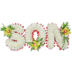 A carefully composed sympathy tribute presents the word 'SON' in bold, three-dimensional letters, each letter densely packed with small, immaculate white chrysanthemums that create a plush, cloud-like surface. The composition is crisply set against a plain white backdrop so the delicate shapes and tonal contrasts read with clarity; soft, north-facing light brings out the gentle ridges between blooms. A vivid red ribbon is woven around the perimeter of each letter and loops inside the 'O', forming a scalloped border that provides a striking counterpoint to the white chrysanthemums and suggests love and remembrance. Nestled thoughtfully within the 'S', the 'O' and the 'N' are three lime-green Cymbidium orchids - their waxy petals threaded with a pale orange to reddish-brown throat - which add a calm, dignified focal point at the upper left of the 'S', the base of the 'O', and the upper right of the 'N'. Complementing the orchids is an assortment of glossy green leaves and delicate fern fronds that introduce texture, lift and a suggestion of renewal. As a local florist, Flower Delivery Stanmore often prepares such tributes in our workshop near Stanmore Broadway and Stanmore Station, combining precise floral mechanics with an empathetic touch for funerals, memorial services or graveside remembrances. The arrangement's restrained palette, tactile contrasts and careful balance of form and foliage create an expression of love that is both personal and composed.