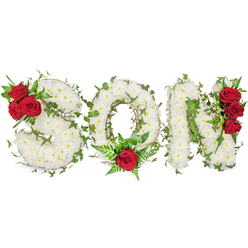 This carefully arranged sympathy piece spells SON in three generous capital letters, each letter formed from hundreds of small, pristine white chrysanthemums packed tightly to create a cloud-like, cushiony surface. The whites are cool and pure against a clean white background, lit with soft, natural daylight that reveals subtle shadows between blooms and the fragile, powdery scent of the petals. Interlaced through the letters, glossy green ivy vines and sprigs of fern thread a living green network that gives the composition organic movement and a sense of steady continuity. Deep, velvety red roses are placed as arresting focal points: the S bears a cluster of three red roses at its upper left curve, the O is graced by a single, prominent red rose at its bottom centre cushioned by feathery greenery, and the N carries another vertical trio of red roses along its right edge. The tactile contrast - smooth chrysanthemum cushions, glossy ivy leaves, and the plush richness of rose petals - amplifies the emotional message of love, respect, and mourning. Against the stark white backdrop this piece reads as a carefully considered memorial tribute suitable for church services, funeral chapels, or graveside ceremonies. As a florist serving Stanmore and nearby Canons Park, I imagine this design bringing quiet comfort to families, the colours and textures chosen to speak a clear message of tenderness, honour, and lasting memory.