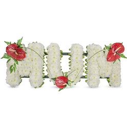 This carefully crafted sympathy tribute spells out MUM in large, freestanding letters composed entirely of pristine white spray chrysanthemums, each bloom tightly grouped to form a uniformly soft, voluminous surface against an immaculate white background. The chrysanthemums create a soothing, cloud-like texture that is both visually pure and tactilely gentle; under a cool daylight the tiny petals appear luminous, lending the piece an air of calm and dignity. A discreet dark green structural frame defines the shape of each letter and is visible only as a slim outline at the sides, keeping the composition neat and stable for display at a service. To introduce warmth and a focused note of love, three glossy red anthuriums have been placed with intention: one on the upper left curve of the first M, a second nestled at the base of the U, and the third adorning the upper right of the final M. Each anthurium sits amid sprays of deep green foliage - soft ferns and broader leaves - while delicate, arcing stems or blades of grass connect them, creating a graceful visual ribbon that unifies the whole tribute. Prepared with the quiet expertise of a local florist accustomed to services around Stanmore Broadway and Canons Park, this arrangement is presented with reverence and care; families often request a design like this to express love, remembrance, and respect at funerals, memorials, or graveside gatherings. (Prepared by Flower Delivery Stanmore.)