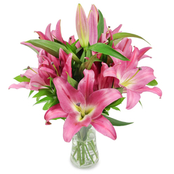 This close, studio-style image presents a full bouquet of vibrant pink lilies standing tall in a clear glass vase on a stark white surface, each bloom articulated with precise botanical detail. The flowers range from fully unfurled stars of fuchsia and rosy pink, whose petals curl softly back to reveal a lighter, chartreuse-yellow throat, to slender, upright buds in pale and deep pink that hint at blooms yet to open. Prominent burgundy anthers dusted with pollen sit atop delicate filaments at each flower's center, offering tactile texture against the smooth, almost satiny petals. Rich green leaves-lanceolate and glossy-thread through the arrangement, giving the bouquet body and a cool visual counterpoint to the warm pink tones. The clear vase tapers subtly and shows trimmed stems submerged in clean water, catching the studio lighting and reinforcing the sense of freshness and professional care. The image reads like a thoughtfully prepared gift from a local Stanmore florist-perfect for a birthday or an anniversary delivery along Stanmore Broadway or a cheery surprise after a morning at Marsh Lane market. There is a soft, luminous quality to the light that makes the petals appear almost translucent at the edges, and one can almost imagine the lilies' sweet, floral perfume filling a small front room. The photograph emphasizes both the aesthetic poise and the practical longevity of the stems, making it useful for editorial pieces about bouquet care, seasonal gifting, or selecting statement blooms for home décor.