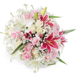 Framed by a clean, white background, this lush bouquet appears like a floating garden, a hand-tied cluster of lilies and roses that could have just been prepared for delivery to a home near Stanmore Country Park. At its core, generous white lilies stretch their trumpet-shaped blooms outward, their petals silky and gently flared, revealing soft green centres and delicate stamens that add a refined, almost architectural quality. Around and between them, blush pink roses and creamy white roses are nestled so closely that their velvety petals overlap, some roses still tightly furled and others opening wide in full, romantic bloom. Adding drama and intensity, several fuchsia or magenta Oriental lilies, reminiscent of Stargazer lilies, rise up with deep pink petals sprinkled with darker flecks and tipped with bright yellow anthers. Everywhere between these larger blooms, tiny white gypsophila flowers spread like a fine mist, lending an airy, lace-like softness to the dense, rounded silhouette. Subtle flashes of fresh green foliage and closed lily buds appear at the margins, hinting at the stems hidden beneath and the living energy of the arrangement. The bright, even lighting captures every nuance of colour and texture, from the creamy whites to the vibrant pinks, without distraction. This bouquet feels both celebratory and tender, ideally suited for weddings, milestone birthdays, or to welcome a new baby home in the Stanmore area, echoing the calm elegance of local streets like Uxbridge Road and the quiet joy of gatherings with family and friends.