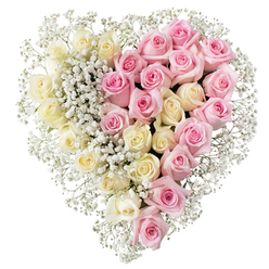 Against a clean, white backdrop, a full heart-shaped arrangement of roses and baby's breath seems to hover in stillness, its muted colours and balanced form evoking a quiet, dignified farewell. The heart is clearly divided down the middle, with each side mirroring the other in structure while offering its own emotional tone. To the left, numerous creamy white and soft lemon roses are packed closely together, each bloom just open enough to reveal delicate layers of petals folding softly around one another. Their subtle shades and velvety texture suggest peace, innocence, and a sense of rest. To the right, the pattern continues with medium pink roses, just as tightly clustered, their gentle blush tone carrying warmth, gratitude, and affection. Delicate sprigs of white baby's breath, or gypsophila, are threaded throughout both sections, pooling slightly more around the division line and the outer edge, where they create a lace-like fringe that enhances the heart silhouette. There is no visible greenery or ribbon, only the quiet conversation between cream, pale yellow, and soft pink. The arrangement looks like something lovingly prepared by a Stanmore florist for delivery to a local funeral service at a church near The Broadway, a synagogue along London Road, or a crematorium chapel serving North West London families. It feels appropriate for saying goodbye with grace, whether placed on a stand by the coffin or laid gently among other tributes, offering a lasting symbol of love that remains long after the service ends.