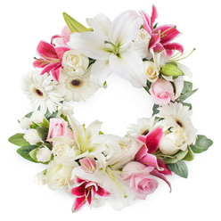 An elegant circular memorial wreath rests against a clean white backdrop, its open centre and continuous ring of blossoms offering a gentle, dignified tribute that would sit beautifully in a Stanmore chapel or family home. The arrangement is built on a base of large white lilies, each bloom gracefully unfurled, revealing soft, velvety petals around green pistils dusted with warm gold pollen. These serene focal flowers are interwoven with deep pink and fuchsia lilies, their star-shaped, sometimes lightly speckled petals adding rich colour and subtle drama, echoing the vibrant gardens tucked away off Marsh Lane and Old Church Lane. White gerbera daisies, with their neat circles of fine petals and dark, expressive centres, lend a modern clarity and brightness to the wreath, preventing the design from feeling overly heavy. Throughout the ring, soft light pink roses nestle between the lilies and gerberas, some still in bud, others part-open, their delicate petals suggesting tenderness, gratitude, and farewell. Creamy white roses, many fully bloomed and layered, introduce a timeless sense of love and remembrance. Small white filler flowers, likely spray carnations or miniature chrysanthemums, are tucked carefully into every gap, creating a plush, seamless look as if the wreath were upholstered in petals. A lush surround of green foliage frames the flowers, with varied leaf shapes and tones of deep and mid-green adding texture and depth, almost like a quiet Stanmore garden after rain. This circular funeral wreath, suitable for memorial services, cremations, or graveside tributes around Stanmore and neighbouring Edgware, expresses sympathy with understated beauty and heartfelt sincerity.
