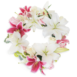 In this tranquil yet striking funeral wreath, meticulously crafted by a Stanmore florist, a seamless ring of lush white lilies and vivid fuchsia blooms radiates grace and solemnity. The composition's focal point, a procession of large, star-like white lilies, displays broad petals unfurling serenely-each one illuminated as if in gentle remembrance. Deep pink and magenta lilies, speckled with richer tones, intersperse the arrangement and infuse it with dramatic warmth, reminiscent of the vibrant floral borders beside Stanmore Golf Course or the lively colors seen at Stanmore Broadway flower stalls. Blush pink and creamy white roses weave amongst their larger counterparts, bringing softness and a sense of gentle remembrance through their carefully furled buds and delicately opened blooms. Wisps of muted green foliage-hinting at eucalyptus or lily leaf-frame the outer rim, grounding the vivid blossoms and echoing the lush serenity of Bentley Priory Nature Reserve. The wreath's circular, unending form becomes a poignant symbol of connection, memory, and love, offering a fitting tribute to those dearly missed. Generously proportioned and balanced, this arrangement serves as an eloquent expression of support and condolence-perfect for delivery to Stanmore's homes or local services.