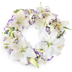 A beautifully composed circular wreath of white and gentle purple flowers is shown on a clean white background, drawing the eye to the soft interplay of shape, light, and texture. Dominating the design are generous white Oriental lilies, their six smooth petals opening like stars around a soft green throat with slender pistils and cinnamon-brown anthers. The lilies are placed in varying stages of bloom, from tightly held buds to fully expanded flowers, creating a sense of natural rhythm that mirrors a life remembered through different seasons. Tucked between them are ruffled lisianthus, their white petals edged tenderly with lilac and purple, adding a cool, soothing colour accent. Subtle sprigs of greenery, including slender leaves and eucalyptus-like stems, emerge around the blossoms, giving structure without interrupting the gentle flow of the circle. Occasional glimpses of unopened buds and compact creamy roses deepen the texture and hint at ongoing love and memory. The wreath has the poised, tranquil feel of an arrangement prepared in Stanmore for a funeral or memorial service at a church near Old Church Lane or a gathering by Bentley Priory. Crafted with quiet care, it is the kind of tribute families might choose when they wish to send a message of peace, dignity, and heartfelt sympathy, its white lilies and soft purples standing as a comforting presence during moments of shared grief.