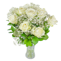 There is a quietly uplifting stillness to this arrangement of about twelve pale white roses nestled among wisps of baby's breath, presented in a plain clear glass vase on a bright white field. The roses vary from those fully open-displaying layers of creamy, velvety petals-to tighter buds that promise further unfolding; this variation creates a natural rhythm and movement across the bouquet. Interspersed fine sprays of Gypsophila form a delicate, cloud-like network around the main blooms, lending a soft luminosity and ethereal texture, as if morning mist has settled among the petals. The supporting greenery ranges from saturated deep greens to lighter lime leaves, their satin surfaces and subtle veins offering a verdant counterpoint that makes the whites read cleaner and more luminous. Through the glass you can see neatly cut stems and clear water, a small but intimate detail that signals freshness and the hands-on care of the arranger. The light is soft and diffused, evoking an early-afternoon sun at Stanmore High Street bakery windows or a gentle daylight hour in a family kitchen. Sensory notes are understated-the fragrance is faint and floral, the textures soft and velvety-so this bouquet suits thoughtful gifting, birthday remembrances, or to mark a subdued celebration. As a local florist familiar with Stanmore's quieter corners, I picture it brightening a mantelpiece near the tube station or accompanying a thoughtful note delivered across the neighbourhood.