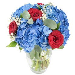 This arrangement reads like a small celebration in glass: a rounded bouquet of bright sky-blue hydrangeas forms a plush, generous base, each cluster of tiny petals creating a soft, tactile surface that almost invites touch. Nestled among the blue are three intense, velvety red roses with tight spirals of petals, serving as confident accents of romance and warmth. Wisps of white baby's breath (Gypsophila) thread through the flowers, lending an ethereal, almost starlit quality that softens the composition and brightens the negative space. Interspersed eucalyptus leaves-oval, muted green, and slightly silvery-add structural rhythm, a subtle herbal freshness and visual rest between the saturated hues. Set in a clear glass vase with a rounded base and a gently tapered neck, the bouquet allows a view of neat green stems standing in water, signalling freshness and careful handling. The scene is lit with clean, natural light against a white background, highlighting petal edges and the soft sheen on the roses. As a florist serving Stanmore - from the High Street to the area around Stanmore Station and Bentley Priory - I picture this arrangement at a small celebratory table or as a heartfelt gift for an anniversary; Flower Delivery Stanmore often combines these same colour notes when curating bouquets for local clients. The overall impression is modern but soulful, combining the cool serenity of blue hydrangeas, the fervour of red roses, and the delicate innocence of baby's breath, making it fitting for romantic gestures, patriotic displays, or simply lifting the atmosphere of a home.