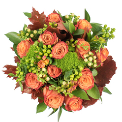 Viewed from directly overhead, this richly textured seasonal bouquet reads like a still-life painted in fall tones, each element chosen for contrast and comfort. The dominant feature is a ring of fully opened roses, their petals moving from warm peach and coral at the centre to deeper orange and a reddish-rust at the tips, delivering a soft, sunset glow across the arrangement. Interspersed among those classic blooms are tight clusters of Hypericum berries-some bright lime-green, others a soft cream-whose glossy spheres add lively, tactile highlights. The unmistakable Green Trick dianthus punctuates the design with velvety, moss-like clusters that bring an unexpected pop of intense green and a tactile softness beneath the roses. Rich, lobed leaves in deep burgundy and russet are scattered like fallen autumn leaves, their dry-leaning tones providing depth and a rustic counterpoint to the fresher greens. Broad shiny foliage forms a verdant foundation, making the composition feel full and carefully balanced. There's a gentle, earthy perfume of roses and green stems under soft daylight, the kind of bouquet we prepare for family gatherings, harvest dinners, or as a comforting gift after a long week. Prepared with local care and available for delivery around Stanmore-Flower Delivery Stanmore can recreate this arrangement for a nearby street, from Stanmore High Street to the lanes beside Bentley Priory-so you can bring a little seasonal warmth into a neighbour's home or your own.