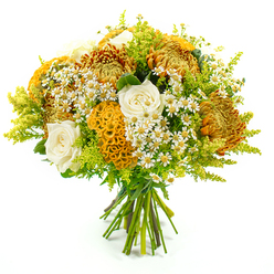 Photographed against a clean white background, this hand-tied bouquet feels like a captured moment of early autumn in Stanmore, when park leaves begin to turn but the air still carries a hint of summer warmth. The arrangement is built around large chrysanthemums with long, spidery petals in rich tones of golden yellow, deep orange, and warm russet, each bloom layered and full, providing a striking texture that seems almost to shimmer. Tucked in between these bold flowers are creamy white roses, their petals spiralling inward with refined precision, adding a soft, romantic note that balances the stronger autumn shades. Distinctive celosia blooms in bright golden-orange thread through the bouquet, their velvety, rippling crests curling and folding like miniature coral fans or intricate fabric pleats, creating a playful, tactile contrast to the smooth rose petals and spiky chrysanthemums. Sprinkled throughout are clusters of small white daisy-like flowers with cheerful yellow centres, reminiscent of chamomile, which lend an informal, meadowy charm, as if the bouquet had been gathered from a sunlit field just beyond Stanmore Hill. Lush green foliage and feathery lime-green filler, likely solidago, surround and weave through the blooms, adding volume, movement, and a refreshing coolness that sets off the warm floral tones. The stems are clearly visible at the base, neatly aligned and bound together with green florist's tape, emphasising the skilled, crafted nature of the design and its readiness to slip into a favourite vase. The overall mood is one of comfort, optimism, and natural beauty, making this bouquet suitable for brightening a hallway, marking a birthday, or sending encouragement to someone special in Stanmore.