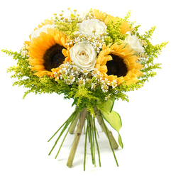 Set against a seamless white background, this cheerful bouquet feels like a pocket of Stanmore sunshine preserved in flowers. Three large sunflowers form the core of the arrangement, their deep, chocolate-brown centres textured and slightly domed, ringed by wide, golden-yellow petals that extend confidently outward, immediately creating a sense of joy and abundance. Nestled between and around them, white roses appear in various stages of bloom, some still partially closed while others are more open, revealing smooth, velvety petals that curl softly into classic spirals, adding elegance and a hint of gentle fragrance. Speckled throughout the bouquet are tiny, daisy-like flowers-likely chamomile or feverfew-each with a neat circle of white petals and a fresh yellow centre, contributing a playful, meadowy character that calls to mind open spaces around Stanmore and Harrow Weald. All of these blooms are supported by generous sprays of bright chartreuse-green foliage, feathery and light like solidago, filling the gaps and giving the arrangement a lush, full shape without feeling heavy. The stems are kept long and natural, carefully aligned, and cinched securely at the base by a lime-green ribbon tied in a simple knot, whose smooth texture and bright hue mirror the freshness of the greens above. The bouquet's rounded form and balanced mix of bold and delicate flowers make it ideal for celebrating a new home, offering congratulations, or sending an uplifting same-day delivery across Stanmore, Edgware, or the surrounding area, where its combination of sunny yellows, creamy whites, and vibrant greens would brighten any room.