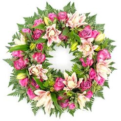 Set against a pure white backdrop, this circular floral wreath appears as a tranquil halo of colour and texture, carefully composed for a funeral or remembrance service. The ring is completely covered with fresh flowers, dominated by roses in rich fuchsia, deep magenta, and softer pastel pink. Their petals twist and fold in intricate layers, with some blooms opening fully while others remain as modest, tightly furled buds, giving the arrangement a sense of natural rhythm. Between the roses, large double lilies unfold in tones of creamy white, blush pink, and pale peach, some revealing delicate speckling and softly shaded throats, while others wait to open as slender lime-green buds. Encircling and supporting the flowers is a generous frame of greenery: fine, feathery fern fronds that create a gentle outer border, and glossy dark green leaves that weave through the design, anchoring the blooms and adding depth. The interplay of rich greens with warm pink and cream flowers gives the wreath a harmonious, comforting presence, much like a quiet walk through Stanmore's leafy parks and suburban lanes. The perfect circular shape symbolises the unbroken nature of love and memory, making it a fitting tribute for services held at Stanmore churches, crematoria, or gravesides. The careful spacing of each bloom, the balance of tone and texture, and the overall fullness of the wreath suggest the skilled hands of a local florist who understands how flowers can offer solace, dignity, and a gentle touch of beauty in moments of farewell.