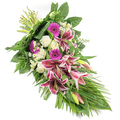 Resting on a pure white background, this sophisticated sympathy spray sweeps diagonally from the upper left to the lower right, its elongated, crescent-like form evoking a gentle farewell. At its heart, striking Stargazer lilies take centre stage, their large petals painted in vibrant fuchsia-pink and magenta hues, neatly edged in white and decorated with dark, speckled markings that draw the eye inward. Some lilies are wide open, proudly displaying their stamens, while others remain as pointed buds, blushed with pink and green, hinting at blooms yet to open. Interwoven with these focal flowers are bold magenta gerbera daisies, their rounded faces and layered petals adding both colour and texture, and clusters of soft white roses, some tightly closed, others slightly unfurled, symbolising respect and quiet love. Fluffy white carnations nestle in between, their ruffled petals creating a gentle, cushioning effect that softens the entire design. Small sprays of tiny white daisy-like flowers are scattered throughout, lightening the composition and adding intricate detail. A variety of lush greenery frames the spray: broad, glossy dark green leaves provide a supportive base, feathery fern fronds give delicate movement, and slender, arching leaves extend towards the bottom right, enhancing the sense of flow. The stems are gathered and bound neatly at the top left, reflecting the careful craftsmanship of local florists in Stanmore, perhaps arranged for a service near Stanmore Hill or a quiet farewell at home. This floral design combines vibrant pinks with calming whites and greens, creating a respectful and comforting tribute for funerals, memorials, or condolence deliveries across Stanmore and the surrounding area.