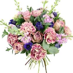 This hand-tied bouquet, photographed against a simple white backdrop, feels like a quiet celebration crafted in the heart of Stanmore. In the centre, generous garden roses open in layered spirals of blush pink, dusty mauve, and antique rose, their velvety petals giving a sense of softness you can almost feel with your fingertips. Around them, ruffled carnations form a halo, each bloom shading from a creamy, pale core to deeper rose, fuchsia, and plum tones at the frilled edges, creating a gentle, rippling texture that catches the light. Rich indigo blooms-small, closed buds similar to tulips or anemones-are tucked throughout the bouquet, adding depth and contrast, while a single open royal blue anemone stands out near the lower front, its dark central eye giving a striking point of focus. Slim stems of lilac and pale lavender stock weave upwards, their clusters of tiny flowers providing height and an airy delicacy, as if echoing the soft breezes that move through the green spaces near Bentley Priory Nature Reserve. The arrangement is cradled in plentiful foliage: rounded, silvery eucalyptus leaves mingling with darker green sprigs to frame the colours and promise a cool, herbal freshness when the bouquet is lifted. At the bottom, the stems are neatly tied, visible and slightly fanned, ready to slide into a vase the moment they arrive at a home in Stanmore, from leafy residential roads by Stanmore station to houses along The Broadway. The mood of this bouquet is calming yet uplifting, suited to sending warm birthday wishes, marking an anniversary, offering congratulations, or simply brightening an everyday moment with refined colour and fragrance.