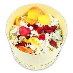 A minimalist, studio-style photograph presents a simple yet deeply expressive floral tribute: a pale cream hatbox filled to overflowing with carefully preserved petals. The cylindrical box sits alone against a pure white background, its gentle off-white tone and smooth paperboard surface giving it a quietly luxurious feel. Along the upper rim, the word FLOWERS is faintly embossed or printed, an understated detail that signals the tenderness of what lies within. From the slightly overhead viewpoint, one can see that the petals are heaped in a soft mound above the edge, as though a florist in Stanmore has allowed the arrangement to breathe and feel natural rather than tightly controlled. At the heart of the mix are velvety deep red rose petals, rich and full, their folds and curves speaking of love, grief, and cherished memories. Interwoven among them are golden yellow and gentle peach-orange petals, which bring a soft brightness, reminiscent of late-day sun filtering over Stanmore's quiet residential streets or the peaceful green of Canons Park. Laced delicately through the larger petals are countless tiny hydrangea florets in crisp white with fleeting hints of very pale blue, giving the arrangement a cloud-like lightness and intricate detail. The petals look well preserved, with defined edges and a subtle matte finish that suggests a faint rustle when touched. The white background keeps the focus entirely on the colours and textures, creating a serene, contemplative atmosphere. This blend feels perfectly suited to scattering during a graveside service, forming a gentle ring around a candle at a memorial, or adding a natural, elegant touch to condolence gatherings, with same-day delivery available from Flower Delivery Stanmore for families needing a thoughtful, ready-to-use tribute.
