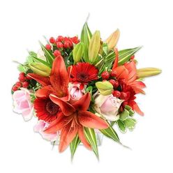 This bouquet unfolds like an artist's study in warm tones, photographed on a stark white field that sharpens every hue and texture. The dominant feature is a cluster of broad-petalled Asiatic lilies in a dramatic orange-red, some displaying tiny dark speckles and the fine thread of their stamens, others poised as smooth, elegant buds. Their bold shapes set a theatrical stage for the surrounding blooms: intense ruby-red Gerbera daisies with their signature dense petal layers and dark centres, and delicate pale pink roses whose soft, satiny petals spiral inward in both tight and more open formations. Scattered throughout are bright red hypericum berries, glossy and spherical, which give the eye a rhythmic punctuation and a tactile contrast to softer petals. A generous assortment of foliage - from long, narrow lily leaves to broader green and subtly variegated leaves - frames and supports the arrangement, lending depth and a living backdrop that allows the floral colours to sing. The overall silhouette is rounded and abundant, the composition careful and meticulous, suggesting the handiwork of a seasoned florist who balances drama with tenderness. In cool, neutral light the colours remain true and vivid; the scent would be a gentle mix of sweet rose and the faintly spicy, heady perfume of lilies. It is a bouquet suited to joyful celebrations, thoughtful gifts, or as a striking focal arrangement for a reception table in Stanmore's local venues like The Broadway or near Canons Park.