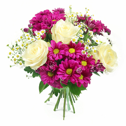 A bright white background frames this abundant bouquet, drawing attention to every petal and stem as if you are standing at the counter of a Stanmore flower shop while the florist lifts the finished design for inspection. The heart of the arrangement holds fully opened creamy white roses, each bloom edged with a whisper of pale yellow that deepens slightly towards the centre, the petals layered in graceful spirals that feel both classic and luxurious. Encircling these roses are bold fuchsia and magenta chrysanthemums, their daisy-like heads slightly tousled, with vivid yellow-green centres that sparkle at the core of each flower, creating an energetic rhythm of colour. Between the larger blooms, wisps of delicate white daisies-tiny petals surrounding miniature golden centres-thread through the design and soften its lines, evoking wildflower verges and peaceful walks through nearby parks. Nestled among the chrysanthemums are a few smaller, unopened or half-open buds in rich purple-pink tones, providing contrast and the sense that the bouquet's story is still unfolding. Fresh green foliage frames the flowers, with glossy leaves providing a grounding, natural backdrop that makes the brighter shades stand out. The flower stems are neatly gathered and aligned, then tied securely with a green and white checkered ribbon, giving the piece a tailored yet homely finish. Gentle, even light washes across the bouquet, enhancing the interplay of textures-from the smooth, velvety rose petals to the firm, feathery mums-and casting minimal shadows. The overall mood is warm and festive, ideal for marking a birthday on the Stanmore Broadway, thanking a host in a quiet cul-de-sac, or welcoming someone home with colour and fragrance.