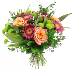 A richly detailed mixed bouquet is shown against a bright white backdrop, its colours and shapes glowing as if lit by soft afternoon light over Stanmore Common. The composition is full and rounded, with the eye first drawn to the generous cluster of roses in gentle peach, apricot, and salmon pink. Each rose is in that ideal stage between bud and full openness, with petals that curl outward in spirals, revealing subtle gradients from creamy outer edges to deeper, honeyed centres. Interlaced among these are striking Gerbera daisies in rich burgundy and fuchsia tones, their many slender petals arranged like a halo around textured centres that appear slightly lighter, giving a lively sense of depth. Rising elegantly from the upper section of the bouquet is a distinctive King Protea, its bold, cup-like form and layered bracts moving from deep maroon at the base to a delicate blush at the pointed tips, lending an exotic, contemporary edge that would suit a modern home off The Broadway in Stanmore. Bright lime-green Santini chrysanthemums are scattered throughout like little fireworks, their rounded pom-pom heads adding playful contrast and an almost tactile energy. Surrounding the flowers, lush foliage in various shades of green provides a natural frame: wide, glossy leaves anchor the design, tall variegated blades bring height, and rounded eucalyptus leaves in soft blue-green tones introduce a relaxed, airy feel. The stems are visibly bound together at the bottom in a classic hand-tied finish, ready to be placed into a favourite vase. The bouquet's overall impression is joyous yet sophisticated-an arrangement that would bring warmth and a sense of occasion to celebrations, get-well wishes, or thoughtful doorstep deliveries around Stanmore and neighbouring Bushey.