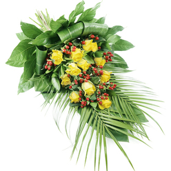 This image shows a beautifully elongated funeral spray of yellow roses and red berries, styled to rest flat on a coffin or memorial plinth, the white background evoking the calm interior of a Stanmore chapel. The spray is composed on a diagonal, starting with a full, structured base at the top left where the stems are hidden beneath strong, dark green foliage. Several of these leaves are folded and arranged with geometric precision, creating an architectural frame that holds the composition together. From this point, the design gently tapers as it extends to the lower right, forming a graceful, teardrop silhouette that feels both purposeful and serene. Through the centre of the spray, yellow roses are distributed in a loose, natural rhythm. There appear to be roughly fifteen to twenty blooms, their petals ranging from tightly furled buds to fully open flowers with soft, overlapping layers. The yellow tone is warm and comforting, reminiscent of afternoon light over the open spaces of Canons Park. Nestled among the roses are clusters of bright red Hypericum-style berries, each bead-like berry contrasting crisply with the surrounding petals and greenery. The berries introduce a lively texture, while their rich red colour deepens the emotional resonance of the arrangement, symbolising love and remembrance. Around this central blend of roses and berries, lush foliage of different shapes and finishes adds depth and fullness. Fine palm-like fronds trail from the bottom and lower right, their slender leaflets curving outward to create movement, as if the spray is gently flowing in one direction. The overall impression is of a tender, thoughtfully designed tribute that would be at home in any Stanmore funeral service, conveying support and sympathy when words may feel insufficient.