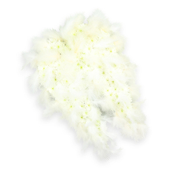 This image shows an elaborate angel wing floral tribute, perfectly suited to a thoughtful farewell in Stanmore's churches, synagogues, or local crematorium chapels. Two large wings are crafted entirely from white flowers and soft feathers, their forms mirroring each other with gentle symmetry. The central sections of the wings are filled with compact white blooms, probably spray chrysanthemums or tiny carnations, placed so closely that they create a smooth, cushion-like surface. The flowers' subtle green and pale yellow centers add fine detail and a sense of living freshness, reminiscent of the calm greenery around Stanmore Country Park. Around the outer curves and along the finely tapered tips, layers of fluffy white feathers soften the edges, their delicate strands overlapping here and there to create depth and gentle movement. The feathers have a light, airy quality, suggesting weightlessness and spiritual uplift. Set against an immaculate white background, the arrangement stands out clearly, and a soft drop shadow gives a quiet illusion of height and presence, as if the wings are poised in mid-air. The overall effect is one of tranquil purity and tender protection, making this design an especially meaningful choice for funeral flowers, memorial tributes, or sympathy deliveries in the Stanmore area. Crafted with the care of experienced local florists, it speaks of peace, remembrance, and the comforting idea that a loved one is watched over and carried gently onwards.