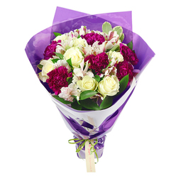 Presented upright against a clear white backdrop, this bouquet captures the feeling of a freshly made arrangement from a trusted Stanmore florist. The flowers gather into a compact, rounded cluster at the top, creating an impression of fullness and abundance. Deep magenta carnations dominate the centre, their plush, ruffled petals forming intricate patterns that look almost like finely gathered fabric. Between their richer tones, creamy white roses open in gentle spirals, with outer petals slightly relaxed, conveying softness and elegance. White alstroemeria blooms weave among the larger flowers, their slim petals marked with fine streaks of pink-red and tipped with dark stamens, lending an intricate, speckled detail that rewards a closer look. These lighter blooms introduce movement and airiness, as though they are gently dancing among the more substantial carnations and roses. Around the flowers, fresh green leaves, some edged in pale variegation, add structure and contrast, echoing the calm greenery surrounding Stanmore's residential streets and open spaces. The stems are tightly gathered into a neat bunch that narrows below the lush top, giving the bouquet a graceful, tapered silhouette. A crisp ring of white wrapping paper forms a smart collar around the base of the blooms, framing them cleanly against the background. Over this, a translucent purple cellophane or tissue layer is wrapped around the stems, its softly crinkled surface catching light and adding a hint of festive shimmer. At the base, a bright lime-green satin ribbon is tied in a small, tidy bow, with a rectangular kraft-style tag hanging freely, blank and ready for a name or heartfelt message. The overall composition suggests joyful celebration and sincere affection, ideal for same-day flower delivery in Stanmore for birthdays, thank-you gifts, or simply to brighten an evening in a home near Stanmore Station.