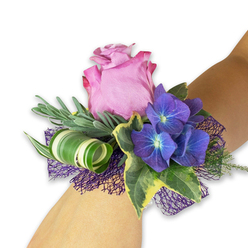 This wrist corsage glows softly on a fair wrist photographed against a clean white surface, where floral craftsmanship meets botanical poise. The focal mauve-rose opens in gentle spirals, its velveteen petals edged with a deeper magenta that gives depth and a whisper of sweetness to the scent; the rose's layered form invites a careful, almost reverent touch. Nestled beside it, compact clusters of indigo-blue hydrangea create a cool, saturated counterpoint-their minute florets revealing pale bluish centers that catch the eye like pinpoints of twilight. Interwoven are slender silvery-green sprigs, suggestive of eucalyptus or lavender, that provide a soft, airy backdrop and a muted scent profile, while glossy variegated ivy leaves frame the arrangement with traditional elegance, their cream-edged margins adding light. A bold design flourish-a wide, striped green-and-white leaf tightly curled into a sculptural spiral-introduces a contemporary, graphic line that lifts the composition. Underneath, a dark purple, open-weave mesh supports and amplifies the hydrangea tones, adding texture and subtle shadow. The overall impression is tender and composed, a corsage that reads as both modern and romantic, perfect for proms, weddings, or an intimate celebration in a local hall or church. The piece communicates quiet joy: cool mauves and deep indigos balanced by fresh greenery, a small wearable arrangement that feels poised, fragrant, and exceptionally wearable.
