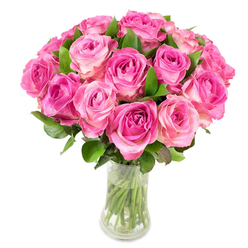 A confident, romantic cluster of about two dozen pink roses forms a generous, rounded bouquet, presented in a transparent glass vase that lets the clean green stems show through the water. Each bloom reveals a small, intense heart of magenta or fuchsia that mellows outward into softer pinks and subtle creamy highlights at the petal edges, producing a gentle ombré that feels both cultivated and naturally wild. The roses are arranged tightly - petal against petal - so the overall silhouette is plush and abundant, as if the flowers had been gathered from a well-tended patch and immediately placed into a vase. Interspersed deep-green foliage frames the blossom heads and adds structural contrast, while bright, even studio light outlines the satin curves of the petals, catching highlights and shadows that suggest texture and depth. There is an implied scent here: a tender, fruity rose perfume that whispers rather than overwhelms, conjuring mornings strolling near Stanmore High Street or quiet afternoons by Bentley Priory. This bouquet reads as a gesture - ideal for anniversaries, birthdays, or to celebrate a milestone - and its clarity and freshness are what make it feel sincere. The white background places focus entirely on colour and form, emphasising the craft behind the arrangement and the emotional warmth it is intended to deliver to loved ones across the Stanmore neighbourhood.