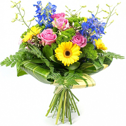 Against a pure white background, this vibrant bouquet looks freshly tied, as if prepared moments ago at Flower Delivery Stanmore for a same-day delivery nearby. At its heart, plush pink roses unfurl in soft spirals, their velvety petals overlapping in delicate layers that move from richer rose shades at the centre to gentle blush near the edges, creating a romantic, timeless focal point. Surrounding them, bold yellow gerberas with dark brown centres radiate like small suns, each flower head perfectly round with slender petals that give off an air of cheerfulness, akin to the bright displays often seen near Stanmore Station. Tall stems of deep blue delphinium rise behind and above the rounder blooms, adding vertical structure and a striking cool contrast; their numerous little florets climb the stalks in closely spaced tiers, evoking wildflower meadows and summer skies over Stanmore Country Park. The arrangement is generously framed in mixed foliage: light, feathery fern fronds soften the outline, while wide, glossy tropical-style leaves form a sculpted green collar around the flower heads, some revealing subtle lighter green stripes in the light. Interwoven through the composition are clusters of vibrant green, moss-like filler foliage that add tactile texture and fill any gaps, creating a rich, full silhouette. Fine, slender stems with small, unopened buds peek out from above, suggesting freshness and the promise of additional blooms. Below, the natural stems are neatly gathered together, bound with pale cream or soft green wrap and tied with an understated bow. The bouquet exudes a sense of joyful celebration and thoughtful craftsmanship, ideal for marking an anniversary dinner off Uxbridge Road or sending heartfelt wishes to a friend in the quiet cul-de-sacs around Stanmore's leafy avenues.