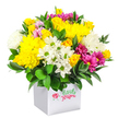 A lush, dome-shaped bouquet bursts from a clean white cube box, positioned against a plain white background so that the vivid colours and textures take centre stage. The arrangement combines radiant yellow, cool white and rich fuchsia flowers, giving it the uplifting feel of a sunny walk across Stanmore Common. At the core, large yellow chrysanthemums with densely packed petals create generous, cushion-like blooms that radiate warmth. Clusters of yellow spray roses nestle between them, some in tight buds, others starting to open, bringing delicate detail and a romantic, garden-inspired look. Interspersed among the yellows are white daisy-style chrysanthemums with fresh green centres, their simpler shapes lending a relaxed, informal charm, while larger white chrysanthemums add fluffy volume and balance out the brighter tones. Winding through the bouquet are fuchsia and magenta chrysanthemums, some brushed with softer pink at the edges of their petals, injecting dramatic, jewel-bright accents that catch the eye. Smaller pink and yellow rosebuds are scattered thoughtfully throughout, hinting at more colour yet to fully bloom. All of this is framed by deep green, glossy foliage that surrounds the base and slips between flower heads, grounding the arrangement and making the colours appear even more intense. The square white box is modern and understated, allowing the flowers themselves to shine, and would look at home on a kitchen island in a Stanmore family house or on a desk near Stanmore Station. The bouquet appears expertly crafted, perfect for same-day flower delivery across Stanmore for birthdays, thank-you gestures or simply to bring a burst of happiness into someone's day.