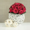 An artfully arranged bouquet of red roses takes centre stage in this serene, modern composition, reminiscent of a refined wedding table set in a Stanmore venue near Stanmore Country Park. The roses, gathered into a compact dome, showcase a deep crimson hue that remains consistent across each bloom, from tight, promising buds to fully open flowers with lush, velvety petals. The blossoms are so closely nestled that they create a continuous surface of layered spirals, drawing the eye across the top of the arrangement. Tucked between them are clusters of small, glossy red berries, probably hypericum, whose rounded shapes and smooth sheen introduce playful texture and visual interest. Supporting the mass of red is a narrow band of dark green foliage at the base, the leaves forming a polished collar that provides contrast and a sense of natural grounding. The bouquet sits in a unique white vase crafted from slender, intertwining strands-like delicate twigs or wicker-woven into an open, nest-like lattice that feels airy and contemporary. On the spotless white surface in front, two cream-colored decorative spheres lie slightly off to one side, each created from flat wooden strips woven into light, geometric orbs. The larger sphere is positioned closer, with the smaller nestled behind it, echoing the layered effect of the bouquet and giving the composition depth. The background is a warm beige, with a fine, fabric-like texture that softens the scene and lets the rich reds, crisp whites, and natural greens stand out. Gentle, even lighting eliminates harsh shadows and highlights the careful craftsmanship. The overall impression is one of thoughtful romance and understated luxury, ideal for representing wedding flowers and special occasion arrangements available for local delivery throughout Stanmore and its surrounding residential streets.