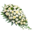 A serene white and cream funeral spray is displayed against a flawless white background, arranged in a classic teardrop shape that begins with a dense, rounded cluster of blooms and gradually narrows into an elegant, trailing point. Dominating the design are numerous white and ivory roses, their petals in various stages from gently closed buds to wide, open spirals that create a sense of fullness and calm. Tucked amongst them, white carnations introduce a soft, ruffled texture, their delicate, feathery petals adding visual interest and a pillowed effect that makes the arrangement feel exceptionally lush. The flowers emerge from a foundation of deep green foliage, which frames the blooms and provides a reassuring sense of structure. Interspersed within this are muted, silvery eucalyptus leaves, their cool tones and rounded shapes harmonising with the softness of the roses. From the slender, lower end of the spray, fine ruscus stems and trailing greenery extend downward in a natural, cascading line, gently reinforcing the crescent form that is often chosen for memorial and casket sprays. The lighting is even and soft, giving the petals a gentle glow and allowing the contrast between white blossoms and green leaves to be easily distinguished. This dignified tribute feels perfectly suited to a quiet service in Stanmore, perhaps placed beside a casket in a local church or set near a remembrance table for a gathering near Queensbury. Designed with the care of a skilled local florist, the spray communicates peace, respect, and a tender farewell, bringing a sense of comfort to those who pause to remember.