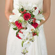 The photograph shows a bride from the shoulders down, gently holding a dramatic cascading bouquet that pours from her hands like a floral waterfall, set against the richly detailed texture of her white wedding gown. The gown itself, with lace and faint embroidery, provides a soft, intricate backdrop, reminiscent of the refined character of Stanmore's tree-lined avenues. At the centre of the bouquet are fully open crimson roses, each bloom densely packed with velvety petals that twist into deep, romantic spirals. Surrounding and interspersed among them, pure white lilies open wide, their broad petals curved like porcelain, with green-tipped stamens creating a subtle play of colour at the heart of each flower. Flowing downward from this central grouping, long arching stems of white Phalaenopsis orchids form the cascade, their smooth, waxy petals and pale centres catching light as they trail toward the hem of the dress, with individual buds punctuating the line. Wisps of baby's breath are tucked throughout, appearing as tiny constellations of white that soften the transitions between the larger blooms. Bright red berries gleam among the petals and foliage, their small, rounded shapes giving the bouquet a cheerful, celebratory feel, like the festive atmosphere of a wedding reception near Stanmore Golf Club. A variety of green foliage frames everything: delicate fern-like fronds add texture and lightness, while broader leaves provide structure and define the bouquet's teardrop silhouette. The background behind the bride is blurred into gentle neutral tones, ensuring the eye rests entirely on the flowers and the way they are cradled in her hands. The overall mood is elegant, romantic, and serene, an ideal cascading bouquet for a Stanmore wedding that values both tradition and artistry.