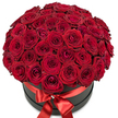 An impressive display of approximately 70 to 100 rich red roses, masterfully arranged by Stanmore's skilled florists, fills a round, matte black hatbox with abundant colour and texture. The plush, crisply layered petals create an irresistibly lush dome that dominates the composition, each bloom glowing with passion and freshness. A wide, glossy satin ribbon in classic red wraps closely around the box, tied into an elegant bow at the front, the knot highlighted with a delicate, sparkling crystal accent for added sophistication-a touch reflecting the sumptuous traditions of Stanmore events. The arrangement is set against a spotless white background, ensuring the vibrant reds and luxe black of the container stand out magnifically. Ideal as a grand statement for Valentine's Day, anniversaries, or any lavish romantic gesture, this bouquet symbolises enduring love and devotion, all crafted with unwavering quality and care synonymous with flower delivery throughout Stanmore.