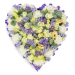 A densely packed heart-shaped floral tribute photographed against a crisp white studio background, its silhouette precisely defined by a looped purple satin ribbon that traces the entire perimeter. The composition reads as a comforting wash of soft neutrals and cool purples: tightly furled cream and pale yellow roses form the tactile core, their velvety petals ranging from closed buds to gently unfurling blossoms with faint hints of light green at the centers. Interspersed among them are lush, ruffled white carnations that add a plush, cloud-like volume and a traditional note of sympathy. Scattered throughout for contrast and air are sprays of tiny lavender statice, their papery clusters lending an almost ethereal texture, and small daisy-like purple asters with bright yellow eyes that punctuate the arrangement with vivid, hopeful points of colour. Rounded, blue-green eucalyptus leaves are tucked between blooms, their silvery sheen and distinctive shape breaking the floral density and implying a soft, camphor-like scent. The studio lighting is soft and even, bringing out the creamy warmth of the roses and the cool clarity of the lavender without harsh shadows, producing a serene, reverent mood. This arrangement reads as a carefully crafted memorial piece-elegant, consoling, and quietly dignified-suitable for funeral services, wakes, or graveside ceremonies. For those in Stanmore seeking a respectful tribute, the heart's restrained palette and refined ribbon edge convey steady devotion and gentle remembrance, evoking the hush of a chapel or the calm of Stanmore Common on a misty morning.