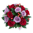 A generously rounded bouquet sits against a crisp white background, photographed from a gentle top-down angle so every bloom and berry is visible. The composition is dense and domed, made up of roughly a dozen fully opened roses in two complementary tones: velvety, deep crimson and a soft, dusky lavender-mauve. Each rose displays perfectly spiralled petals, their edges catching a whisper of light that suggests soft morning or studio illumination. Between the roses, glossy, dark-green leaves-likely ruscus or similar foliage-thread through the arrangement, giving structure and a cool contrast to the warmer blooms. Scattered throughout are small clusters of vivid orange-red rose hips; their shiny, bead-like surfaces create a playful punctuation against the powdery lavenders and intense reds, lending a slightly wild, orchard-fresh personality to the design. Near the lower centre, tucked among the petals, a small white tag peeks out with the word flower written in red script, a handwritten touch that feels personal and intimate. The overall scent imagined is a soft, evening garden after rain: petals warm and slightly honeyed, leaves clean and green. This bouquet reads as both romantic and refined-perfect for anniversaries, a heartfelt apology, or to lift a birthday celebration. I picture it entered on Stanmore High Street counters or carried home from a stroll through Stanmore Common, an object that balances classic passion with contemporary softness and invites quiet admiration from anyone nearby.