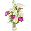 A lush, upright bouquet sits in a clear, gently fluted glass vase against a clean white backdrop, its composition confident and quietly celebratory. Several tall, ivory calla lilies rise like elegant trumpets, their smooth, waxy spathes curling with a hint of green toward the throat and stems that are visible through the transparent water-a reassuring sign of freshness. Nestled beneath and around them are voluminous magenta peonies, their ruffled, jewel-toned petals layered into plush, tactile globes; two blooms open wide to reveal intricate, shadowed centers while a nearby tight bud promises a soft unfurling in the days ahead. Classic creamy-white roses tuck into the lower plane, their dense, spiralled petals offering a traditional counterpoint to the peonies' exuberance. Vertical stems of fragrant white stock-tall, clustered florets lending subtle perfume and upright rhythm-thread through the middle, balanced by fine clouds of tiny white baby's breath that scatter like stardust across the arrangement. Various green leaves and delicate fern-like fronds fill the spaces, providing a cool, organic framework and a fresh, slightly peppery scent when brushed. The overall palette of crisp whites and deep fuchsia reads as both refined and warm, illuminated by soft, diffused light that suggests an early summer morning. As a local florist in Stanmore I picture this as a thoughtful centrepiece for an intimate table on Stanmore High Street or a comforting gift sent across the area; its textures, scent, and poised silhouette make it suitable for anniversaries, quiet celebrations, or expressions of sympathy delivered with care.