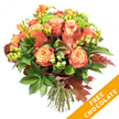 A warm, autumnal hand-tied bouquet arranged against a clean white background, the composition built around large, fully opened roses whose centers glow soft peach and apricot and whose outer petals graduate to coral, burnt orange and russet. Bright orange and sunny yellow freesia thread through the roses, their delicate trumpets and unopened buds lending a light, airy contrast to the denser blooms. Dark, glossy foliage - broad leaves and slender sprigs - forms a deep green backdrop, while clusters of lime-green hypericum berries and tight-headed green Santini-style chrysanthemums add lively pops of colour and tactile interest. Scattered among the flowers are several deep reddish-brown oak and coppery maple leaves, their lobed edges and matte textures bringing an unmistakable autumnal note. The stems are neatly trimmed and gathered by hand, visible at the base and tied with natural jute or raffia, suggesting a bouquet ready for a vase on a mantel or a harvest table. Soft, directional light from the left gently sculpts the petals and casts small, delicate shadows that emphasise petal ruffles and leaf veins, evoking the hush of a cool morning. A bright diagonal orange banner overlays the lower right corner of the image with bold white text reading FREE CHOCOLATE, a visual promotional element included in the photograph. This bouquet feels suitable for a Thanksgiving centrepiece, a birthday in early autumn, or a thoughtful gift to warm someone's home; it carries the subtle fragrance of roses, fresh-cut stems and damp leaves, and is the kind of seasonal arrangement you might order for delivery to a home near Stanmore Broadway or to a gathering at Canons Park.