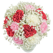 There's an inviting poetry to this bouquet, with its velvety carnations in passionate reds, blush pinks, and creamy whites, all pressed close within a lucid glass vase-an echo of the subtle charm and gentle pace of Stanmore's leafy streets. Wisps of delicate baby's breath intervene, softening the transitions between each vibrant carnation and giving the arrangement a dreamy, cloudlike aura reminiscent of quiet walks through Stanmore's tranquil parks. From the overhead angle, every petal's ruffle, every gentle white floret, is lit by a soft, generous light against a seamless white canvas, making the colours sing and the shapes glow. The bouquet's symmetrical, almost globe-like form seems to pulse with warmth and gratitude, embodying the spirit of thoughtful celebration. Crafted for occasions-birthdays, Mother's Day, anniversaries, or simply 'just because'-its artistry elevates any space, from the elegant homes of Old Church Lane to the cosy corners of Stanmore Village. For those seeking a gesture that carries comfort, beauty, and meaning, this arrangement is the very essence of Stanmore's floral elegance.