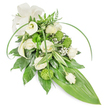 A serene, elongated teardrop spray in soft whites and verdant greens, carefully arranged against a neutral background to read clearly in profile. The composition opens with creamy white roses in varied stages-some fully unfurled with layered, velvety petals and others tucked as gentle buds-whose quiet fragrance suggests a tender, familiar perfume rather than an overwhelming scent. Two sculptural white Calla lilies rise with their trumpet-like forms, offering clean, modern lines that contrast with the roses' soft curves. Scattered through the design are bright lime-green, button-like chrysanthemums whose dense, textured heads bring a playful, contemporary note and a pop of colour among the whites. Tiny clusters of baby's breath (Gypsophila) float between blooms like whispers of cloud, softening edges and lending an airy, ethereal feel. The foliage bed is richly varied: deep glossy leaves create a solid, comforting base; variegated leaves with crisp white striping add visual shimmer; feathery fern fronds breathe woodland freshness into the top of the spray. Long, arching blades of bright green foliage sweep across the arrangement, introducing movement that guides the eye toward the tapered lower end, which finishes in a large, smooth, tropical-looking bright green leaf forming the neat pointed tail. A discreet off-white satin bow at the upper left provides a classical, consoling accent. Under soft studio light the textures-creamy petal, polished leaf, and mossy chrysanthemum-are pronounced, making this dignified sympathy spray read as a statement of respect and calm, suitable for memorial services, funerals, or a private moment of remembrance in Stanmore or nearby green spaces such as Canons Park.