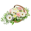 A graceful, handwoven light-brown wicker basket sits front and centre, its arched wooden handle forming a soft frame over a serene bouquet that breathes quiet comfort. The arrangement opens like a gentle sigh: several large, pristine white Gerbera daisies command attention with their crisp petals and striking deep brown to almost black central discs, offering bright focal points that feel both uplifting and pure. Nestled around them are clusters of pale pink carnations whose ruffled, frothy layers lend a tender, romantic texture and a soft, powdery scent that mingles with the subtle resinous perfume of silvery eucalyptus leaves. Small white and pale yellow daisy-like chrysanthemums fill the spaces with a fluffy abundance, while tiny star-shaped blue-purple asters peek through the foliage, providing understated contrast and a cool note of colour. Various leafy textures-rounded silvery eucalyptus, glossy dark ruscus that trails gracefully to the left, and other fresh green leaves-create a rich, verdant base that supports and cradles each bloom. The light is clean and even, accentuating the fresh sheen on petals and the natural weave of the basket, so every shadow and highlight gives the composition depth and life. This arrangement reads as a versatile, heartfelt gift or a calming centerpiece: the design radiates quiet sympathy and gentle celebration alike, suitable for a bedside table, a mantel, or a respectful tribute, inviting the viewer to linger on its softness and honest craftsmanship.