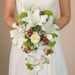 Gently clasped by a Stanmore bride, this luxuriously cascading bouquet brings together all the artistry and natural charm beloved in the area's distinctive celebrations. Bold white oriental lilies dominate, their generously open petals gleaming in the soft light, speckled gently with cinnamon hues that speak to classic wedding nostalgia. At the central heart, a creamy white rose weaves a story of timeless romance, while playful clusters of lime-green flowers-likely pom-pom chrysanthemums-introduce a modern, uplifting vibrancy. Red Hypericum berries peek out among the blooms, offering a cheerful, festive color accent reminiscent of local holiday gatherings. The entire arrangement is framed by light, wispy baby's breath and graceful grass-like greenery, providing textural contrast and airy movement. Pure white Phalaenopsis orchids descend in a beautiful cascade, their blooms suggesting gentle waterfalls and infusing the bouquet with dynamic elegance. The bride's hands, positioned with care against the lace details of her gown, ground the luxurious softness of the bouquet in a moment of personal joy and tradition. Against a neutrally blurred background suggestive of Stanmore's tranquil ambiance, this bouquet is an exemplary bridal accessory-reflecting enduring beauty, vibrant colour, and the skilled craftsmanship of local florists.