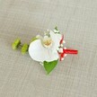 A meticulously crafted boutonniere rests on a softly textured, light beige linen-style fabric, the neutral background allowing every floral detail to shine. At the heart of the design is a single pristine white phalaenopsis orchid, its broad, velvety petals opening in graceful curves, with the central throat glowing in soft yellow that melts into fine reddish-orange markings. Around the orchid, wisps of delicate white baby's breath create a light, cloud-like halo, their tiny blooms adding airy contrast and a sense of gentle movement, as if caught in a quiet breeze drifting over Stanmore Common. To the left, two round lime-green chrysanthemum-style pom-poms offer a fresh, modern twist, their intricate, almost spiky texture giving a playful pop of colour against the otherwise classic palette. Beneath the flowers, a deep green leaf fans out as a natural base, with a smaller, darker leaf peeking near the stem, grounding the arrangement with lush greenery reminiscent of well-kept gardens along Marsh Lane. The stems are expertly bound with a vivid crimson red satin ribbon, wrapped smoothly and finished in a neat knot or tiny bow, adding a bold stroke of romance and formality. The soft, even lighting highlights the weave of the fabric and the satin sheen of the ribbon, suggesting a calm, anticipatory moment just before a wedding ceremony. This refined floral piece feels perfectly suited for a groom or groomsman at a Stanmore celebration, a small but meaningful accent that carries the quiet elegance and considered craftsmanship of a local florist's hand.