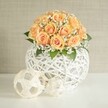 A refined, contemporary floral centerpiece sits on a bright white tabletop, featuring a rounded dome of around two dozen soft peach and apricot roses, each bloom tightly cupped with deeper amber tones at the heart and paler, almost blush edges on the outer petals. Fine clusters of tiny white baby's breath weave between the roses, giving the bouquet a cloud-like lightness, while discreet touches of deep green foliage peek through, grounding the warm colours. The flowers rise from a striking spherical vase crafted from white woven strands, forming an airy, open lattice that feels both modern and handcrafted, much like décor seen in stylish homes around Stanmore Hill and the quieter streets off Church Road. In front of the main arrangement, two decorative white spheres made from the same delicate string material rest on the smooth surface, one slightly larger and patterned like a minimalist, polygonal ball, the other more loosely tangled, echoing the texture of the vase. Behind, a soft, neutral wall in pale beige or light grey offers a calm, uncluttered backdrop that allows every petal, strand, and shadow to stand out clearly. Gentle, even daylight, similar to a bright afternoon filtering through windows near Stanmore Country Park, washes over the display, creating subtle shadows and highlighting the elegant craftsmanship. The entire scene evokes quiet celebration and polished taste, ideal as a wedding table centerpiece, an anniversary arrangement, or a sophisticated piece of home décor for a living room or dining space in and around Stanmore, perfectly capturing the serene charm of a thoughtfully arranged bouquet.